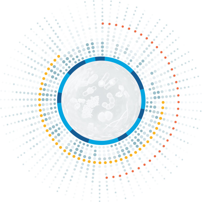 Infographic representing extracellular protein degradation