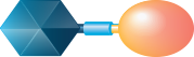 Infographic representing an ATAC